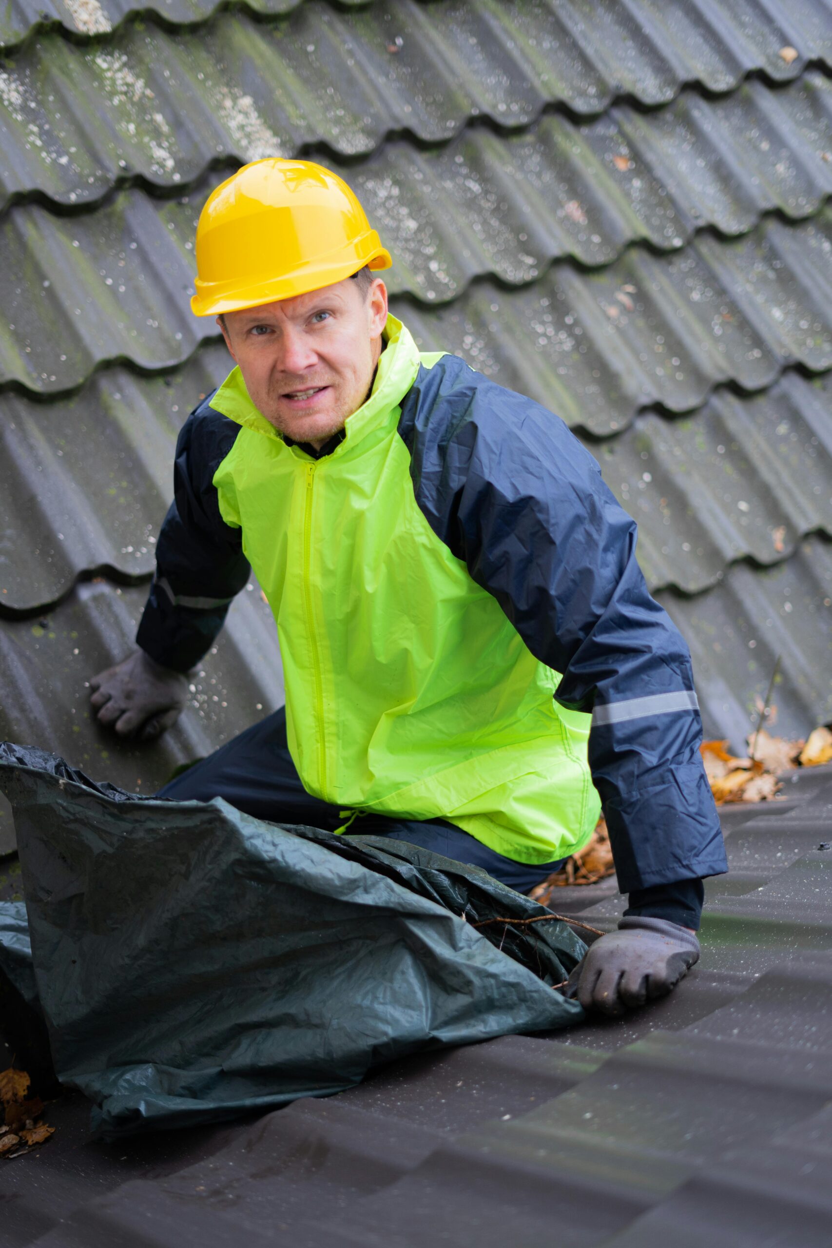 Exterior & Grounds Maintenance